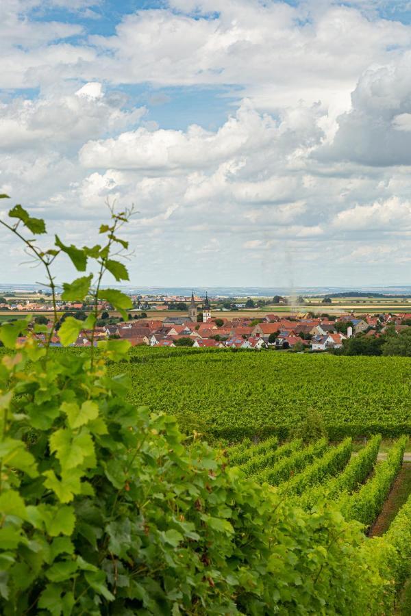 Landgasthof May Willanzheim Exteriér fotografie